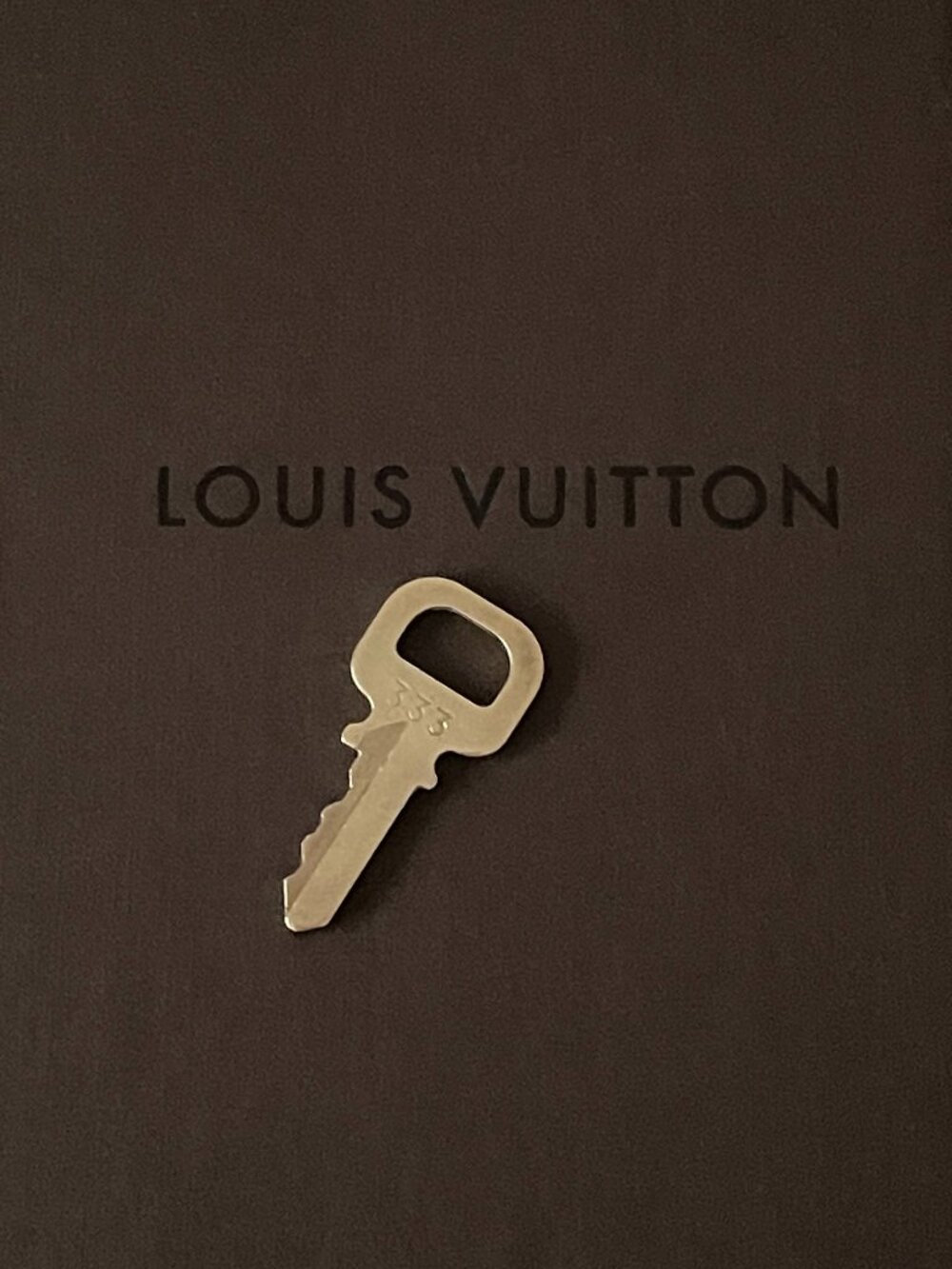 LOUIS VUITTON Brass Key 333 for Padlock